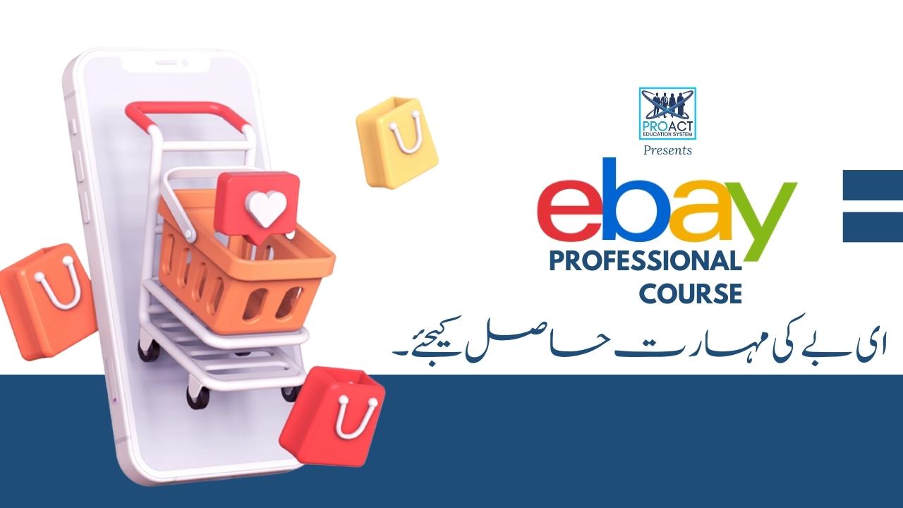 Ebay Professional Course